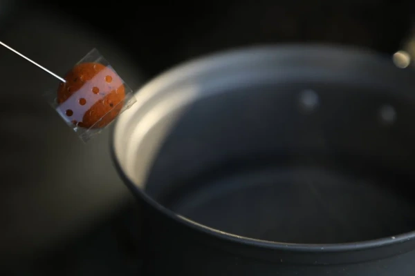 Carp´R´Us Ochrana nástrahy Rap-it Protection Wrap 10ks 6