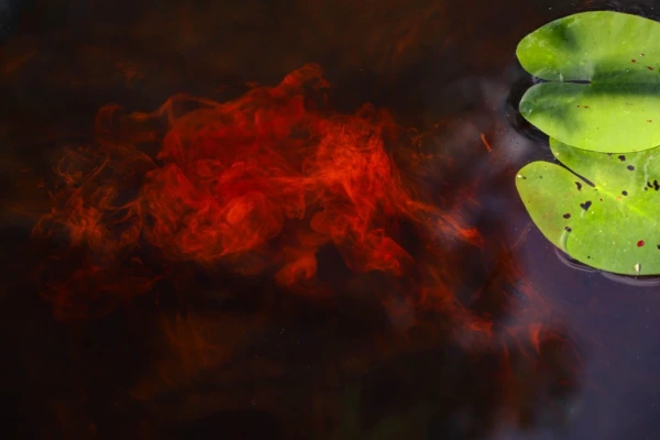 Nikl LUM-X RED Liquid Glow Strawberry 115ml 10