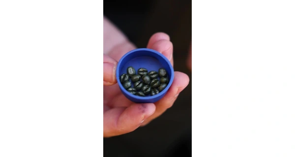 Carp´R´Us Zátěžové broky Camo Shotz Green 15g 2