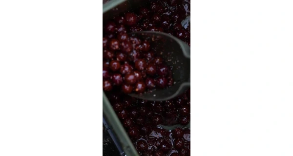 Nikl Booster Gigantica 250ml 2