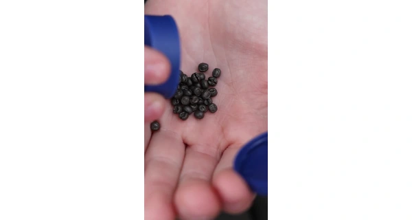 Carp´R´Us Zátěžové broky Camo Shotz Camo Green 15g 7