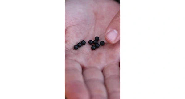 Carp´R´Us Gumové guličky Rubber Beads 6mm, 10ks 5