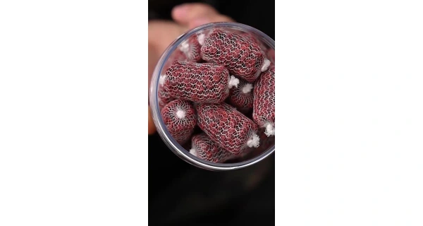 Nikl Ready PVA Stick Krill Berry 20ks 2
