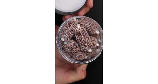 Nikl Ready PVA Stick Chilli & Peach 20ks 2