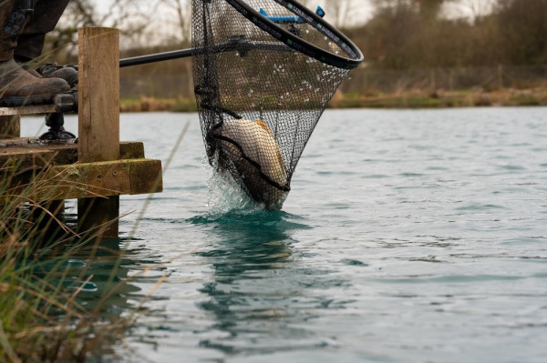 Preston Innovations Podberáková Hlava Carp XS Landing Net 60 cm 3