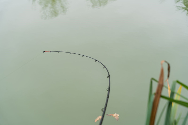 Korum Prút Limitless Feeder 13 ft 200 g 9
