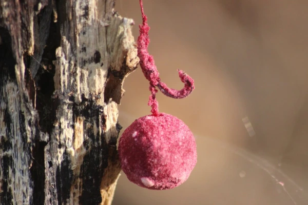 Nikl Práškový dip Gigantica 60g 4