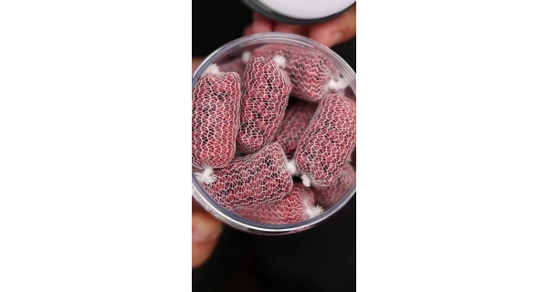 Nikl Ready PVA Stick Strawberry 20ks 5