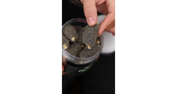 Nikl Ready PVA Stick Halibut 20ks 5